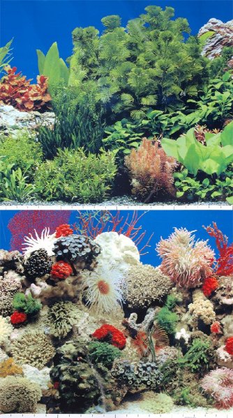 Akvarijní pozadí 49cm, 15m