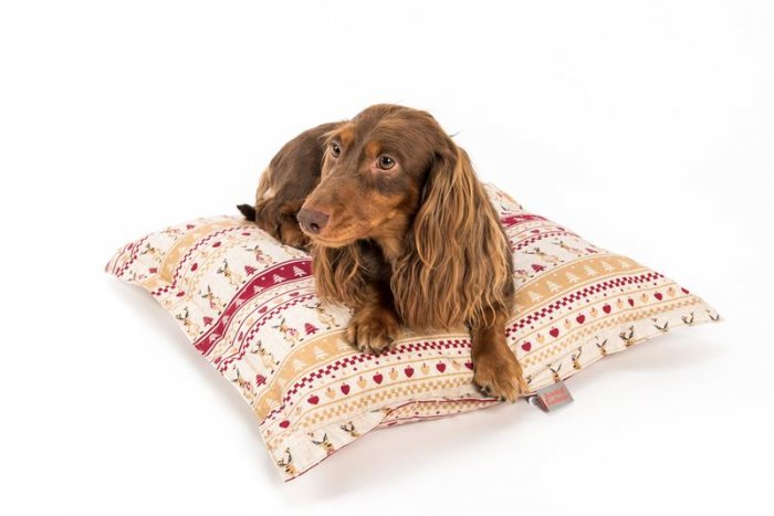 Polštář bavl. Sob béžovo/červený  55 x 55 cm