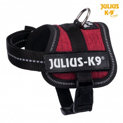 Julius-K9 silový postroj Baby 1/XS 30-40 cm  - burgund