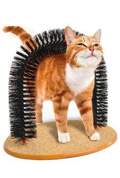 Kartáč masážní 36x28x34cm