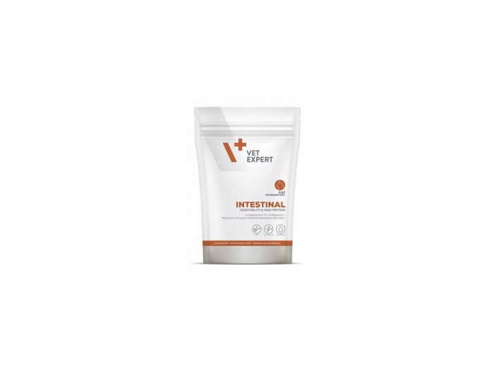 VetExpert 4T Intestinal Cat kapsička 100g
