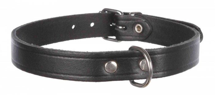 Obojek kožený BASIC M-L 39-48cm/22 mm  - přírodní