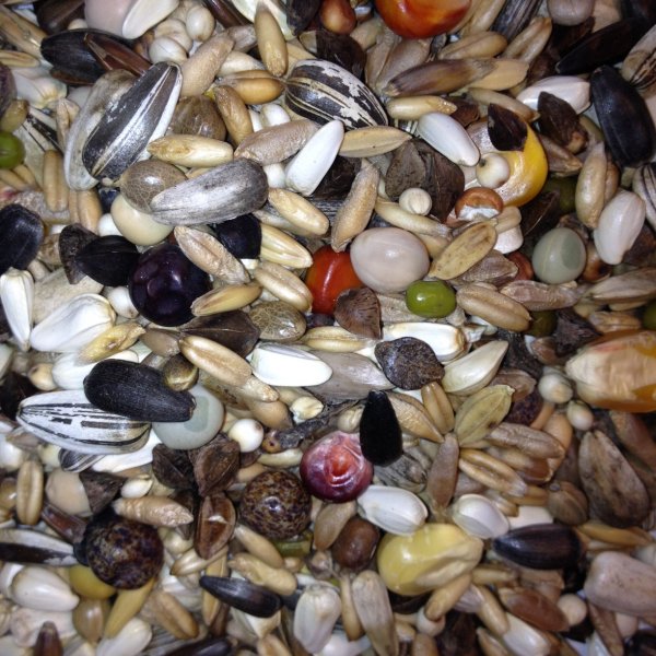 Avest Namáčecí směs 21 10kg