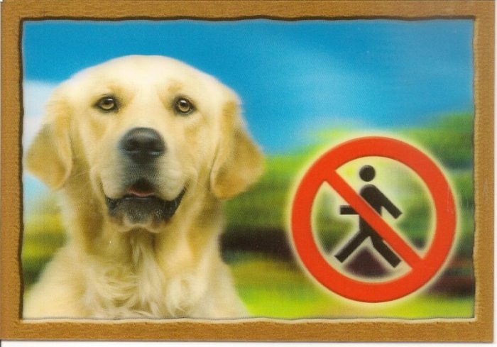 Cedulka 3D PSI, Zlatý retrivr