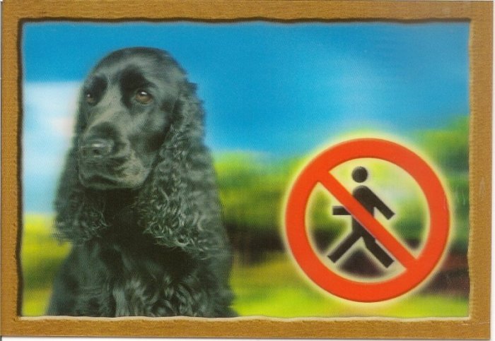 Cedulka 3D PSI, Anglický kokršpaněl černý