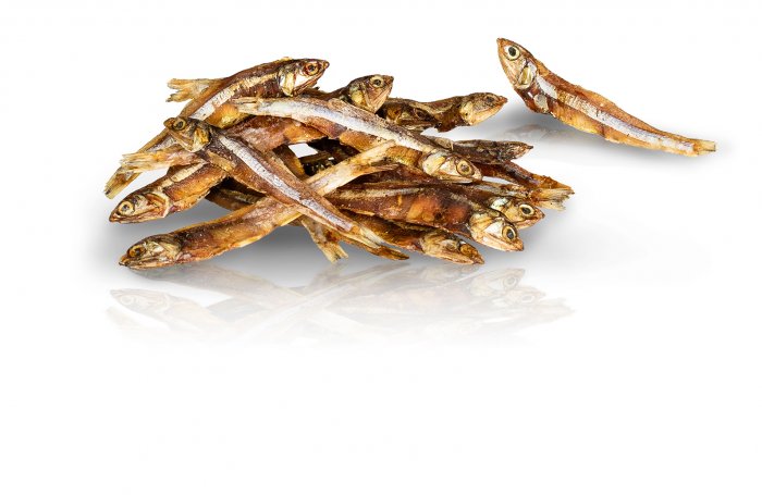 KIDDOG Sea Sunfish, mořské sluneční rybičky 250g