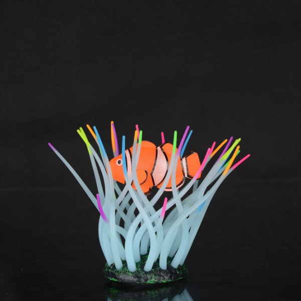 Aqua LUMO - Sasanka mořská s klaunem