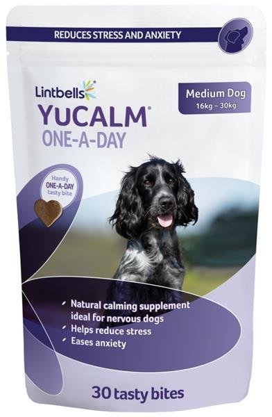 Lintbells YuCALM M One-a-day 30 žvýkacích kousků