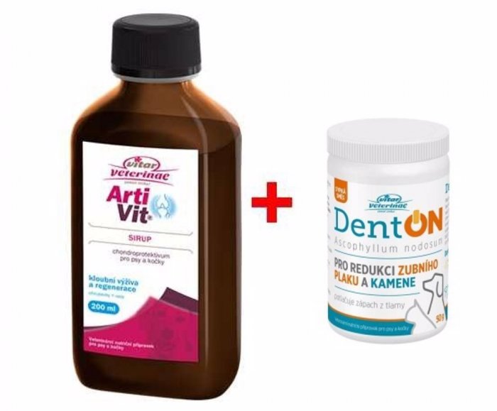 Artivit sir. 200 ml + DentOn 50g zdarma