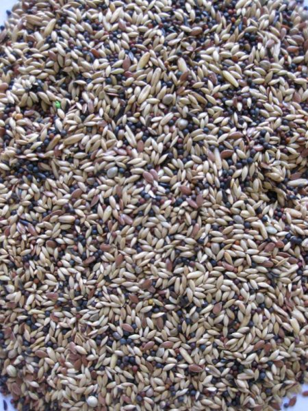Deli Nature Premium CANARIES 4kg Kanárek