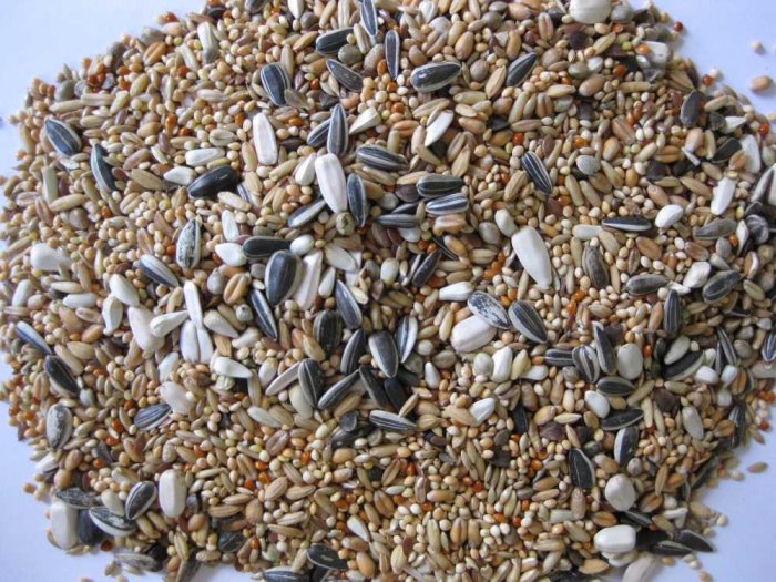 Deli Nature Premium papoušek 4 kg