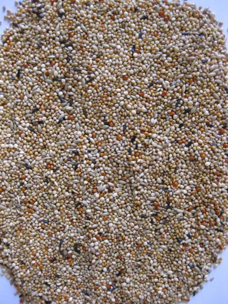 Deli Nature Premium drobní exoti 1 kg