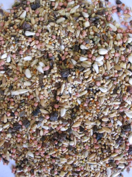 Deli Nature 5 Menu africký velký papoušek 800 g