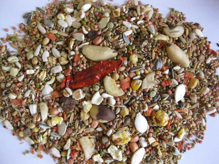 Deli Nature 5 Menu africký papoušek 800 g