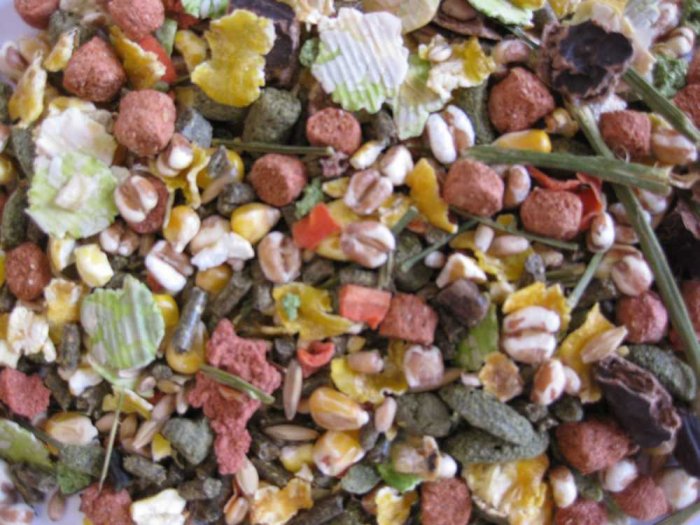 Deli Nature Premium morče 800 g