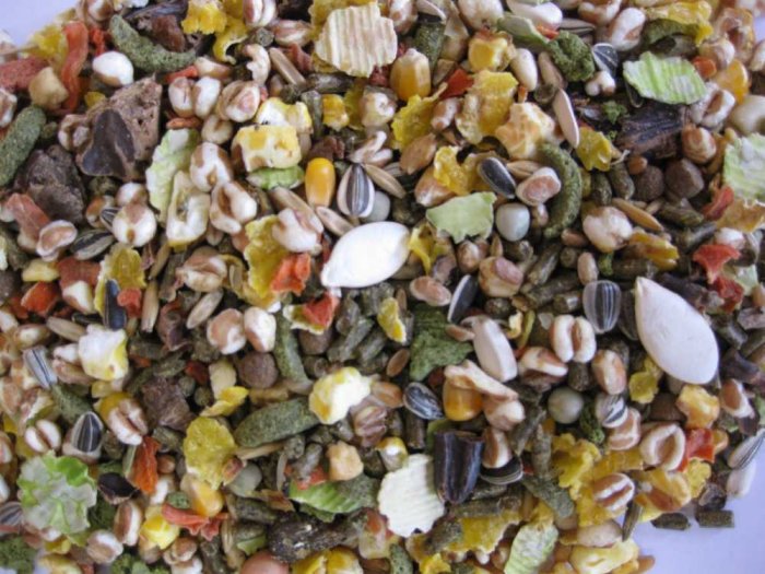 Deli Nature Premium SMALL RODENTS  750g Malý Hlodavec