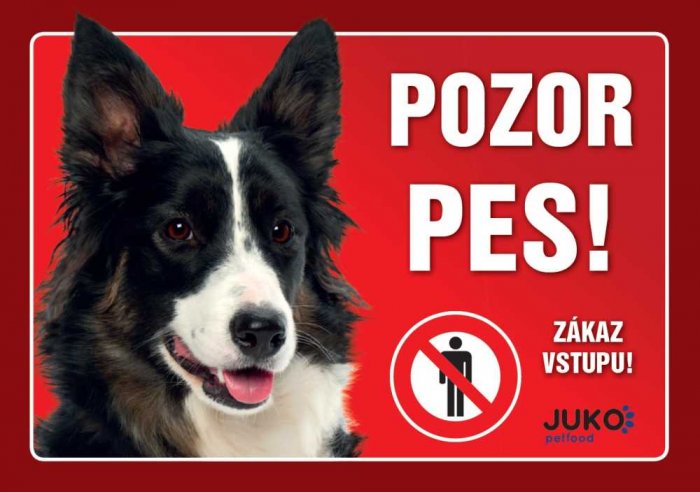 cedulka PLAST - BORDER KOLIE