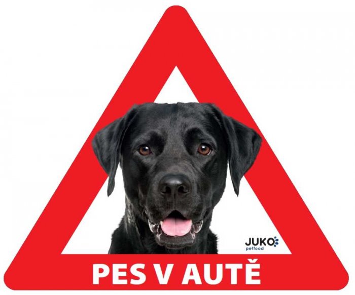 samolepka-Pes v autě venkovní - LABRADOR černý