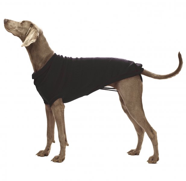 Svetr Stockholm černý 55 cm