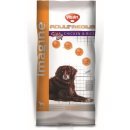 Imagine dog MEDIUM ADULT 3kg