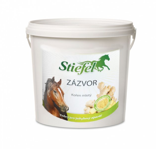 Stiefel Zázvor pro zdravý pohybový aparát, kyblík 1 kg