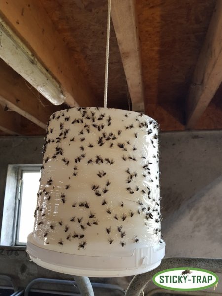 Sticky Trap Bílý kyblík k výrobě pasti na mouchy, 3ks