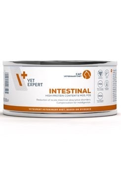 VetExpert VD 4T Intestinal Cat konzerva 100g