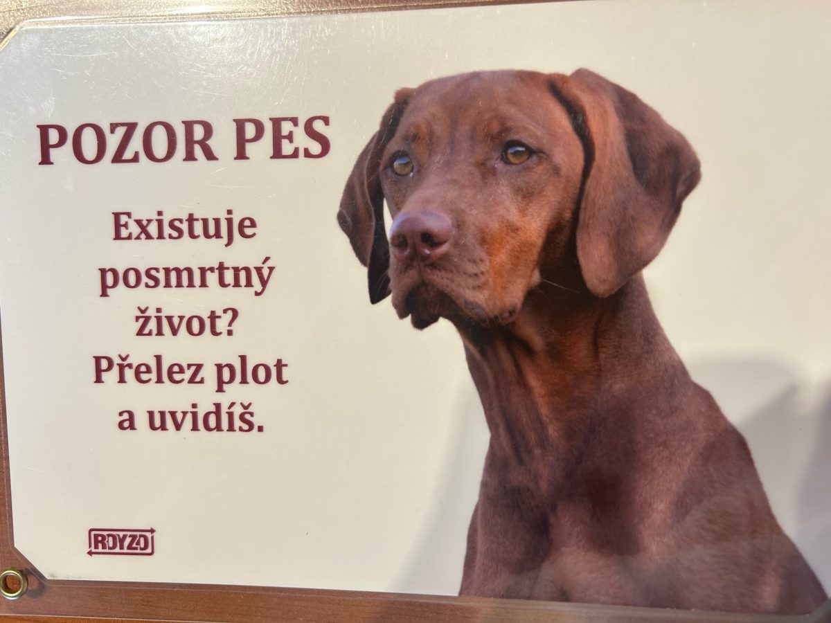 Maďarský ohař