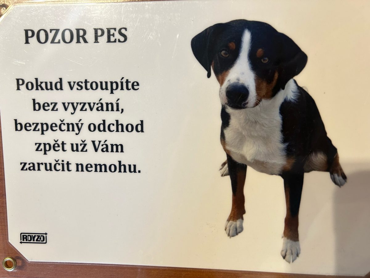 Apenzilský salašnický pes