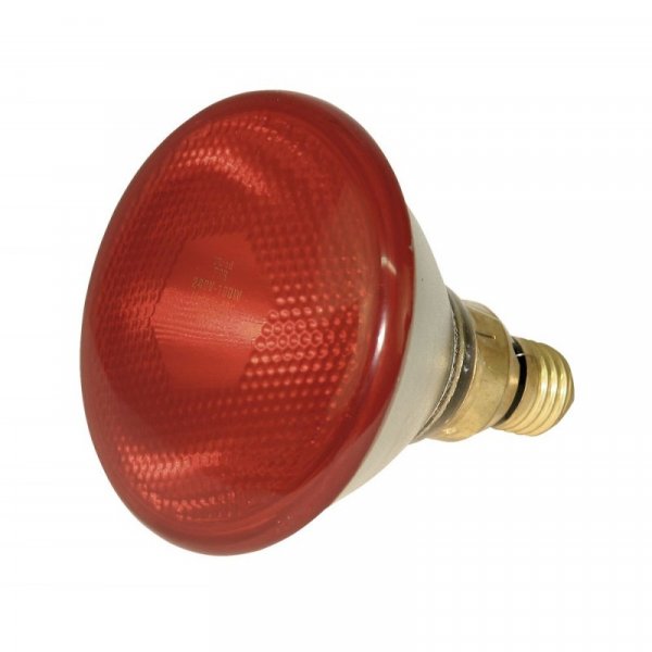 Infražárovka úsporná PAR38, červená, 175 W