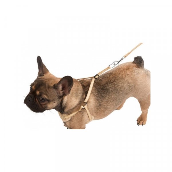 Postroj pro štěňata a malé psy Puppy, s vodítkem 30 - 50 cm