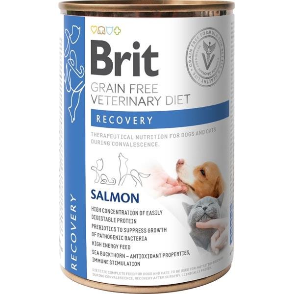 Brit VD Dog+Cat GF konz. Recovery 400g