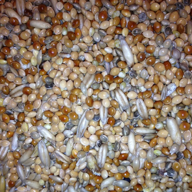 Avest andulka 04 - 20kg