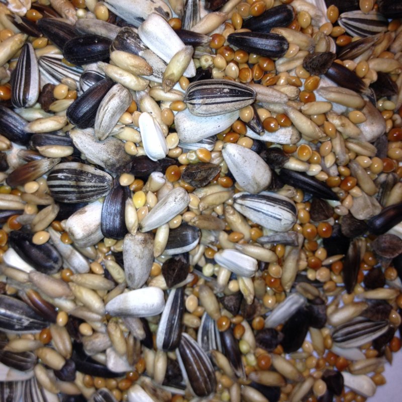 Avest Střední papoušek 08 -  20kg