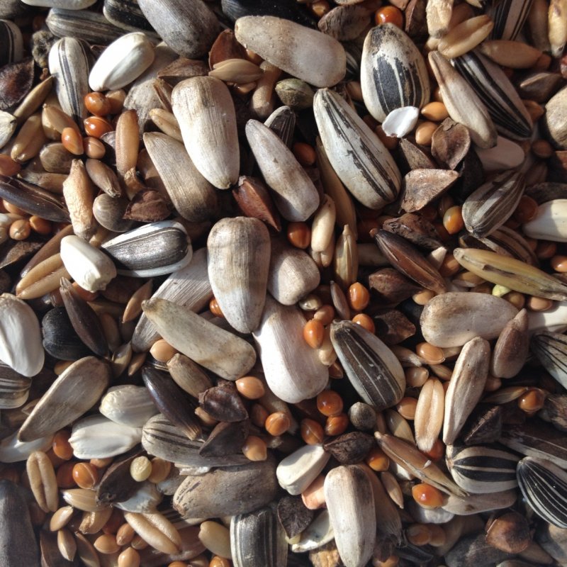 Avest střední papousek 10 - 20kg