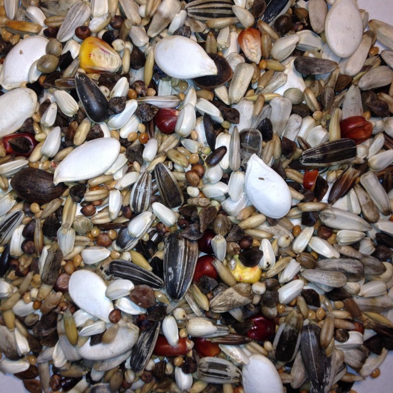 Avest Směs pro velké papoušky 17 - 10kg