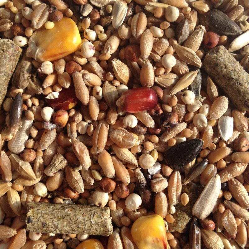 Avest Hlodavec 30 - 10kg