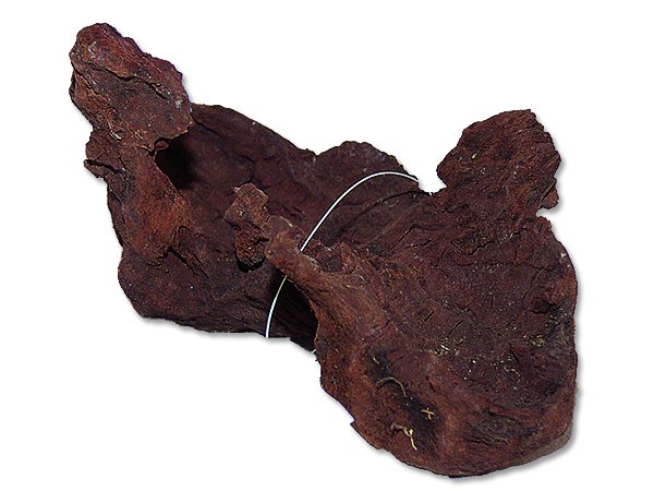Kořen Mangrove Root M