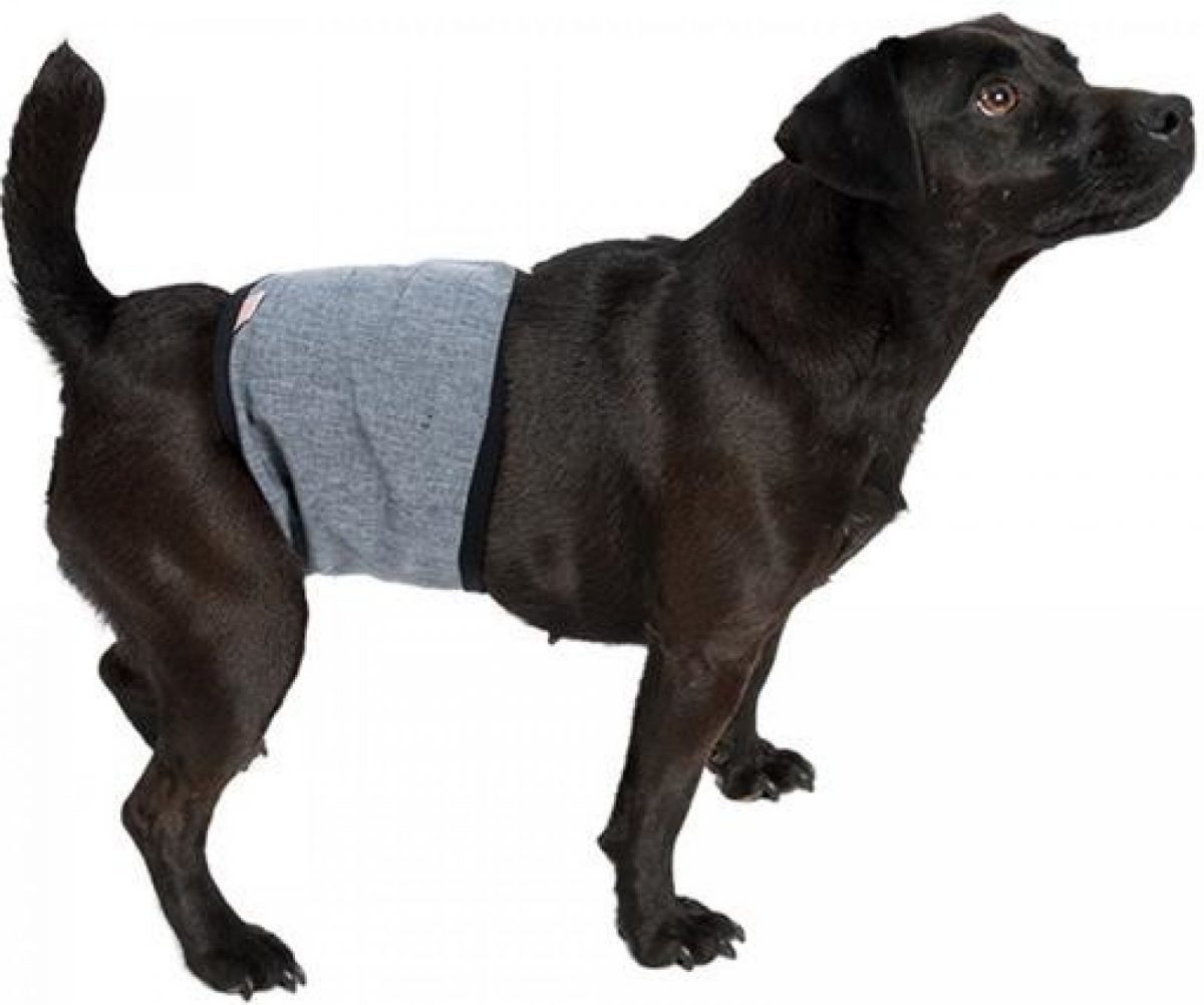 Inkontinenční pás softshell "Rex" mix barev XXL