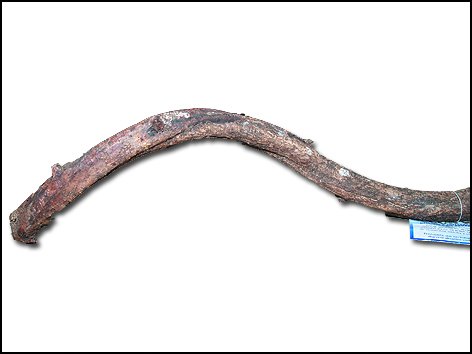Kořen Liana Root 90cm