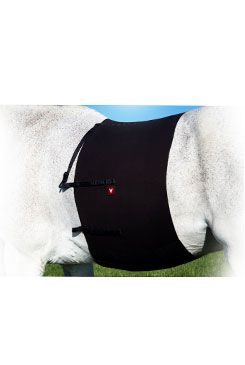 VETOFLEX Recov. Belt/Kolikový pás na ježdění, vel. COB