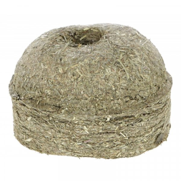 Pamlsek závěsný pro koně DELIZIA HaySwing, 1 kg, mrkev