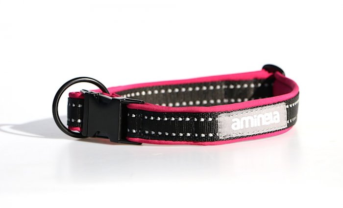 Aminela obojek se sponou Sport & City 25mm/25-45cm, malinová