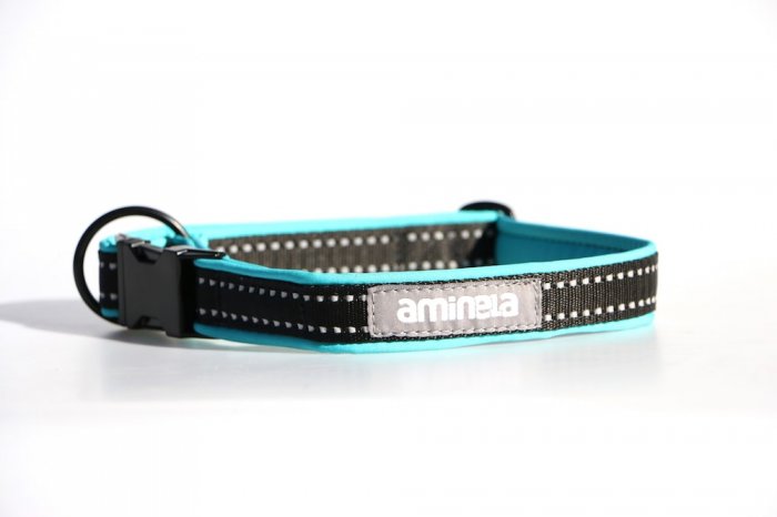 Aminela obojek se sponou Sport & City 25mm/25-45cm, tyrkysová