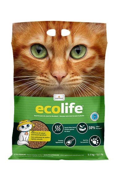 Intersand kočkolit Ecolife 5,5 kg