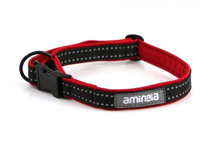 Aminela obojek se sponou Sport & City 25mm/25-45cm, červená