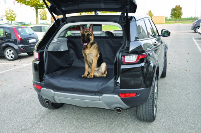 Camon WALKY OCHRANA DO KUFRU AUTA h132 x š105 x v20-32 cm