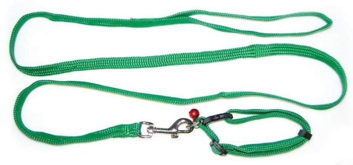 Obojek 10mm x 20-33cm s vodítkem 10mm x 120cm nylon kočka