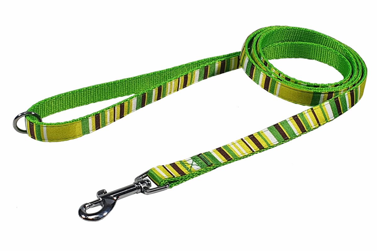 Vodítko BAF nylon proužky zelené 2,5x150cm
