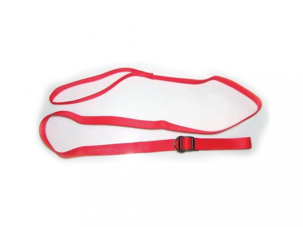 Vodítko s obojkem velké